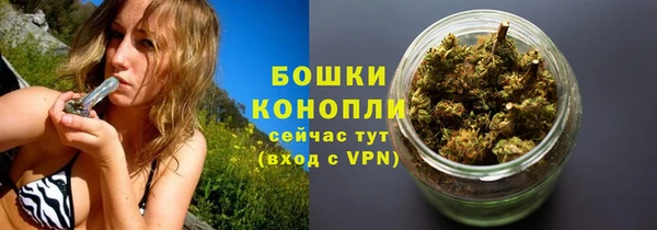 2c-b Вяземский