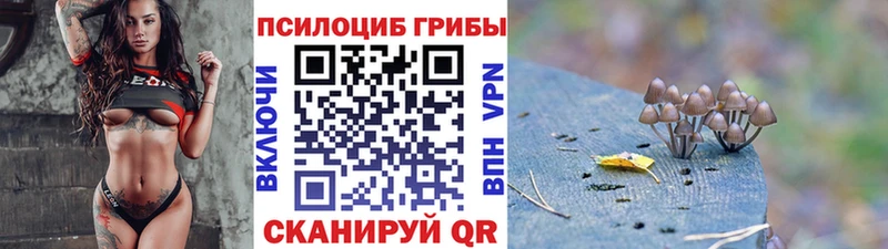 Галлюциногенные грибы Psilocybe  сайты даркнета как зайти  Петрозаводск  как найти закладки 